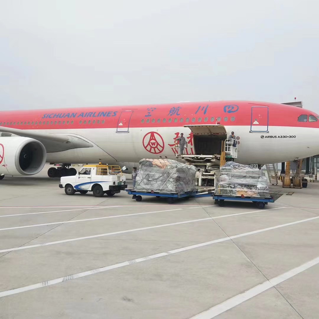 航空快遞與物流行業(yè)面臨數(shù)字化和環(huán)保挑戰(zhàn)，展望未來發(fā)展機(jī)遇？